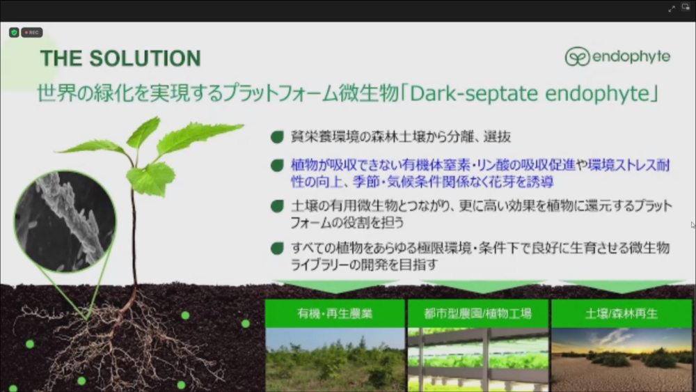 「Dark-septate endophyte（DSE）」の概要